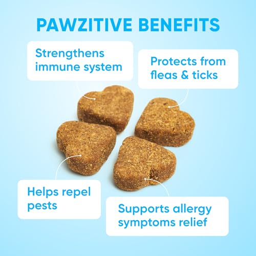 Image of Chewable Flea and Tick Prevention for Dogs - 120 Soft Chews Made in USA - Oral Flea and Tick Control Pills for Small, Medium, Large Dogs and Puppies - Skin and Coat Supplement Treats for All Breeds