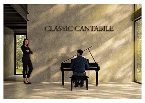 Classic Cantabile GP-A 810 Piano à Queue Numérique – 88 touches pondérées à marteaux – Clavier électronique avec USB… - Les Beatles, Paul McCartney, John Lennon, RIngo Starr, George Harrison Classic Cantabile GP-A 810 Piano à Queue Numérique - 88 touches pondérées à marteaux - Clavier électronique avec USB… – Image 3