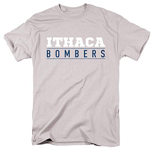 Ithaca College Official Between The Lines Unisex Adult T Shirt, Silver, L