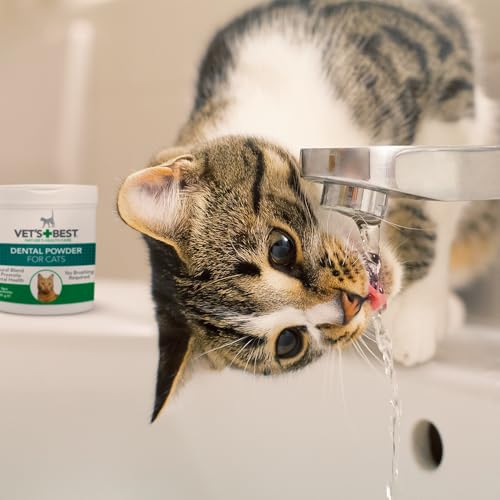 Vet's Best Natural Dental Powder for Cats | Clean Teeth and Fresh Breath - 45g - Image 3