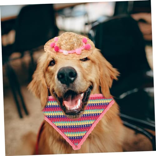 Chapeau de soleil pour chien protégeant les yeux des animaux en été - 6