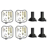 Die Installation ist schnell und einfach, der Luftdurchsatz ist moderat und der Motor läuft geräuschlos. Der Vergaser ist robust und langlebig