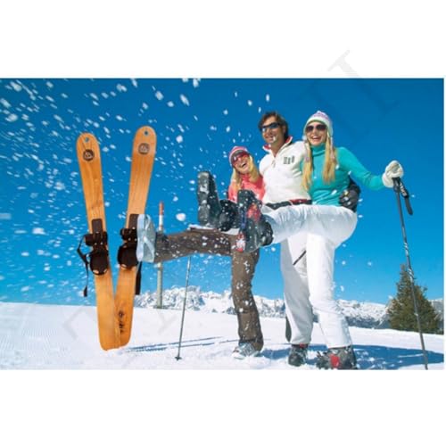 TAYTHI 無垢材スキー板