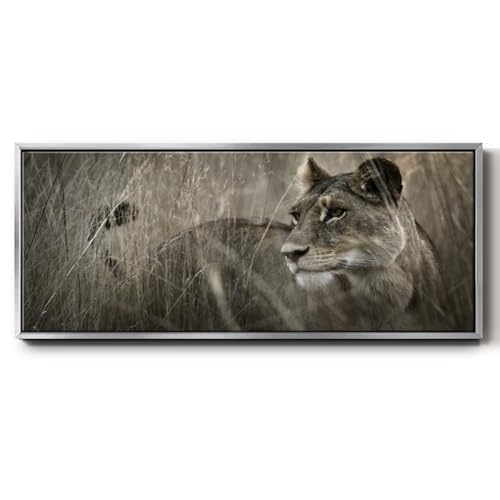 Renditions Gallery Wild Animal Life Floater Framed Wall Art Alpha Lion in the Tall Grass Wall Decoration Prints & Paintings for Bedroom Office Kitchen - 8"X20" SILVER Frame GAL042