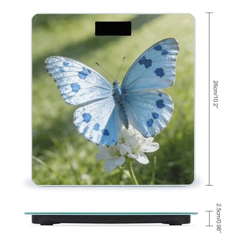 Báscula digital Light Blue Butterfly con LCD grande y 180 kg miniatura 2