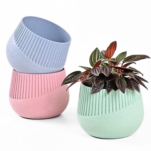 Image of Eha Earth Friendly Oreo 4 inch Small pots for Indoor Plants | Set of 3 | Plant Pot Made with Bamboo Fibers | Table Top Planters for Home Decor and Office, Flower Pot for Living Room | Cele-Inno-Azur