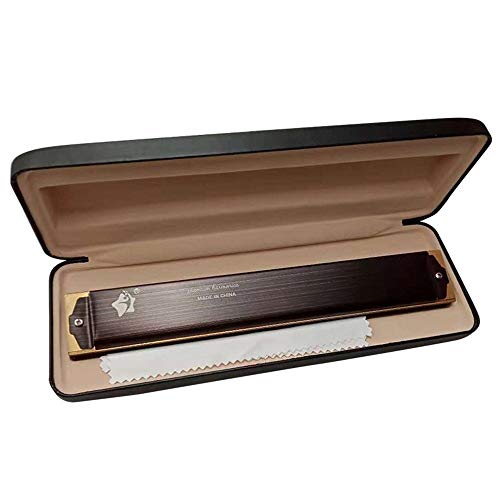 Harmonica Harmonica de qualité Professionnelle Standard C Key 28 Trous Performance Blues Harmonica pour Les étudiants… - Les Beatles, Paul McCartney, John Lennon, RIngo Starr, George Harrison Harmonica Harmonica de qualité Professionnelle Standard C Key 28 Trous Performance Blues Harmonica pour Les étudiants… – Image 3