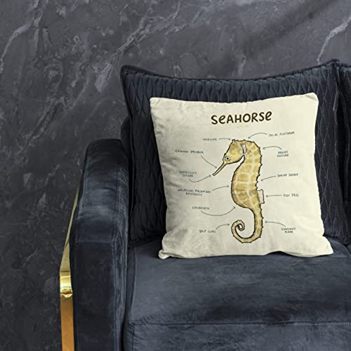 Nogrit Anatomy Of A Seahorse Throw Pillow Cover 18X18 Inch Ocean Animal Themed Seahorse Decor For Home Living Room Office,Seahorse Gifts For Teens Kids Teen Girls Boys,Back To School Gift #TOP1