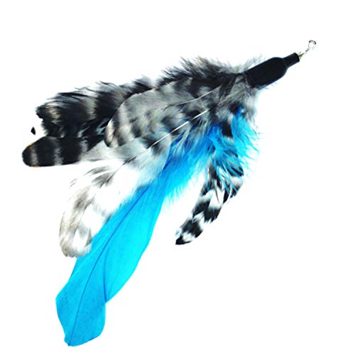 Pet Fit For Life - Retractable Feather Wand for Cats - Durable Interactive Cat Toy, Teaser Fishing Pole with Feather Lures - Fun Kitten Play Wand, 2