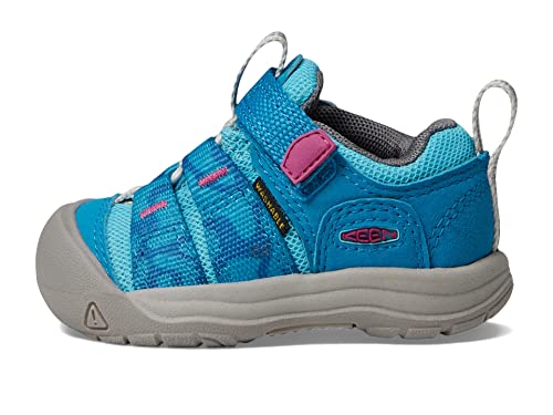 Keen Kids Newport H2Sho Casual Breathable Comfortable Sneakers, Fjord Blue/Festival Fuchsia, 5 Us Unisex Toddler #TOP13