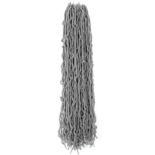 Niseyo Faux Locs Crochet Hair 30 Inch Soft Locs, 6 Packs Long Grey Crochet Locs Pre Looped Crotchet Straight Synthetic Hair Extensions (Gray)