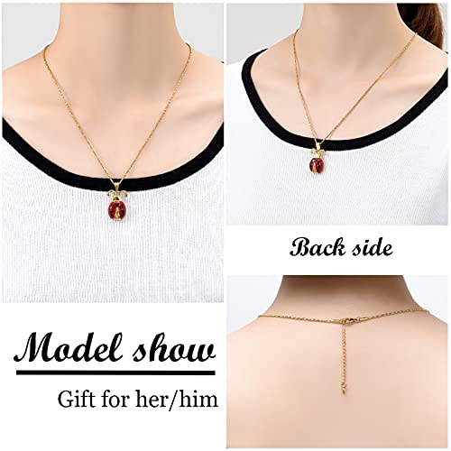 Yinplsmemory Cremation Jewelry Flying Ladybug Urn Necklace for Ashes for Women Stainless Steel Animal Shape Ashes Keepsake Urn Locket Memorial Jewelry4