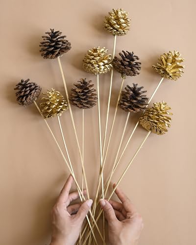 Image of Golden & Brown Pine Cone 10 Sticks |Home Decor and Vase Fillers