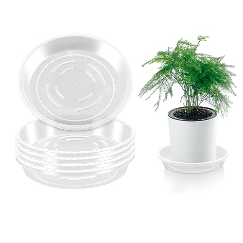 FEELOVE Plant Saucer, 6 Pack of 6 inch Plant Trays for Indoors, Thicker Plastic Flower Pot Saucers, Clear Plant Saucer Drip Trays with no Holes