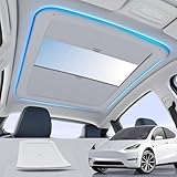 Tesla Model Y...image