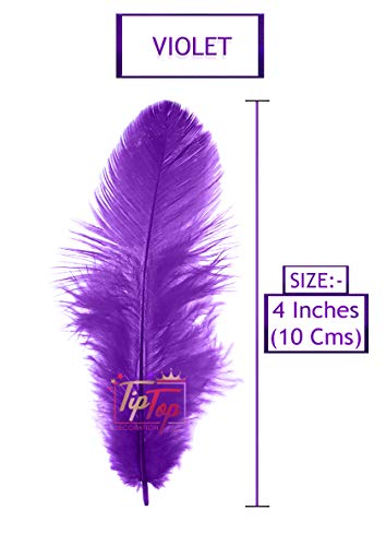 Image of TIPTOP DECORATION Natural Dyed Feathers 10 cm (80 pieces) (Violet)
