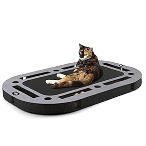 CanadianCat Company PlayPlate Black Edition Kratzspielzeug