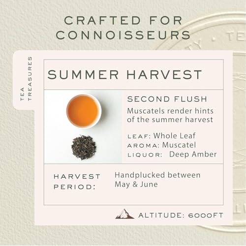 Image of Makaibari Tea Treasures Summer Solstice Muscatel | Organic Darjeeling Second Flush Whole Leaf Black Tea | USDA Certified Premium Black Tea | 100 Grams|Loose Leaves