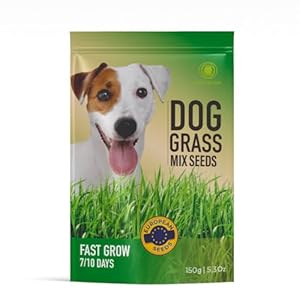 R&R Shop Hunde Grassamenmischung 150 g