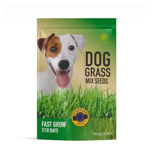 R&R SHOP - Mezcla de Semillas de Hierba para Perros, Crecimiento Rápido para un Perro Feliz, Semillas Europeas (150gr)