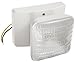 Morris Products 73060 Remote Emergency Light Head, 1 Square, Incandescent, 5.4 Watts, 6 Volts (2)