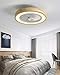Ventilador de techo de madera con iluminación LED, luz de techo con ventilador invisible, regulable con control remoto, lámpara de ventilador silencioso, lámpara de techo para dormitorio comedor ø50cm