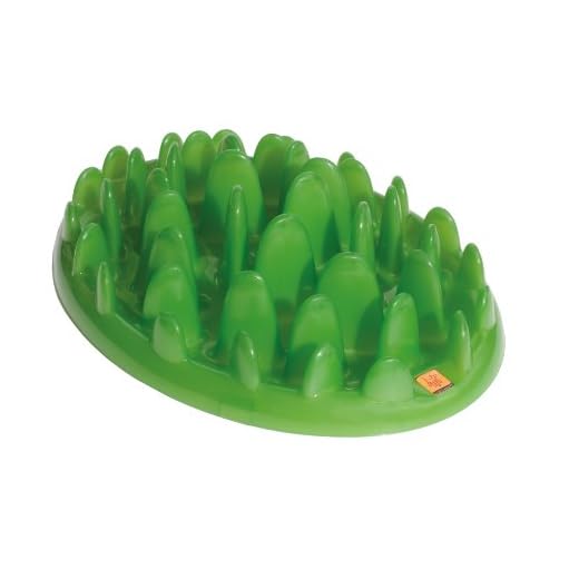 GREEN Interactive Feeder