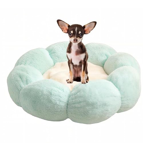 Lifetips X[XR[g` X` ӂӂybgxbh Lp 􂦂 ~ ~p NbV ʔNΉ ې􂢉 Lpxbh ~p ~ߒ 􂦂Jo[ ᔽNbV iACXO[j