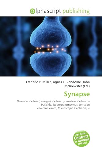  Synapse: Neurone, Cellule (biologie), Cellule pyramidale, Cellule de Purkinje, Neurotransmetteur, Jonction communicante, Microscopie électronique