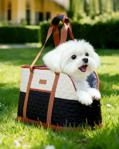Lekespring Hundetasche für Kleine Hunde 5kg, Tragetasche Katze Hundetragetasche Leichte, Hundetransportbox Dog Carrier Bag