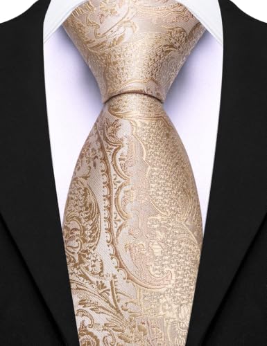 Image of Barry.Wang Paisley Tie for Men Silk Woven Necktie and Tie Clip Set Wedding Party Business Formal
