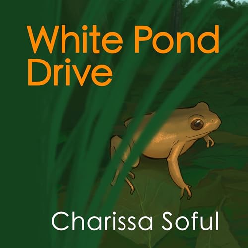 Page de couverture de White Pond Drive