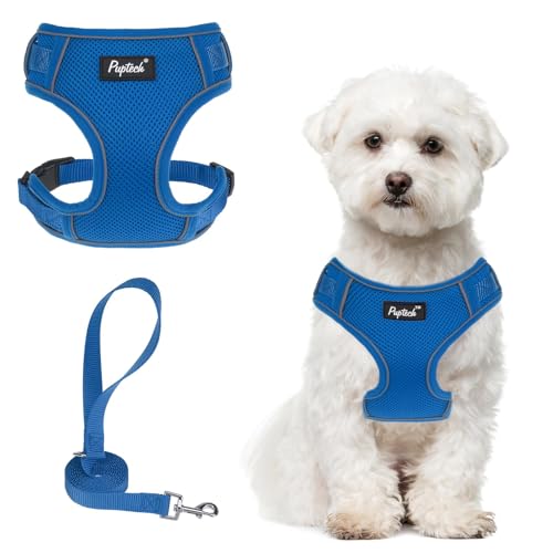 PUPTECK Small Dog Harness and Leash Set, No Pull Adjustable Puppy Cat Harness, Reflective Soft Mesh Pet Vest Small Sized, Blue, M