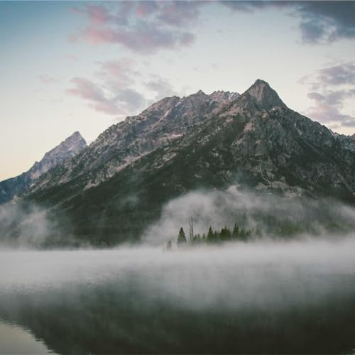 Couverture de Malani Podcast Books