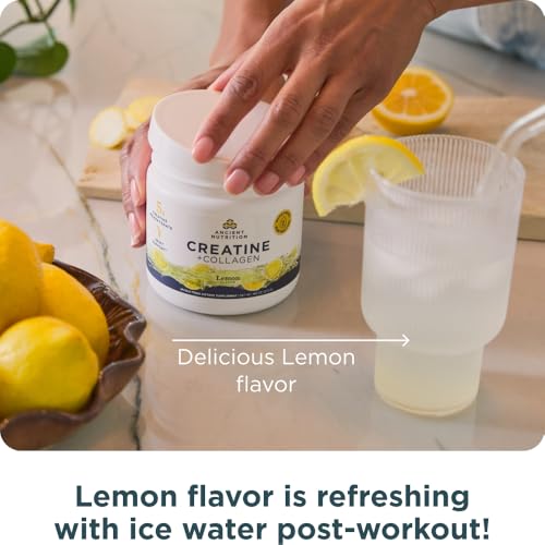 Ancient Nutrition 5g Creatine Monohydrate + Collagen + Electrolytes, Lemon | Muscle Strength, Lean Body Mass, Joint Comfort & Cognitive Support, Includes 5g Creatine Monohydrate for Women - image 6