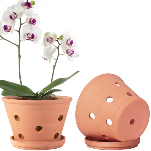 8 inch Terracotta Orchid Pots with Holes and Saucers, 2