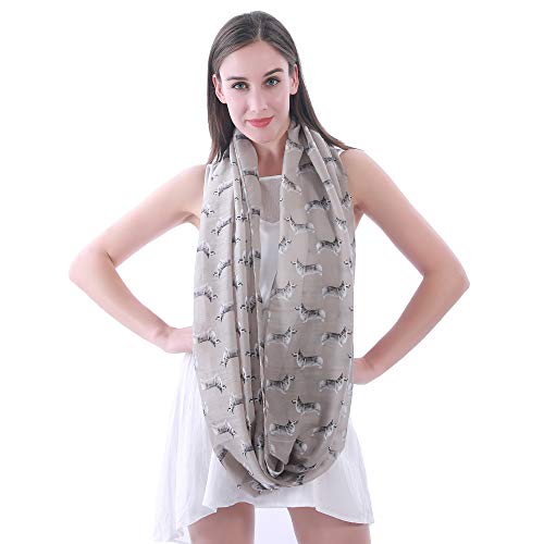 Lina & Lily Pembroke Welsh Corgi Dog Print Women's Infinity Scarf Lightweight3