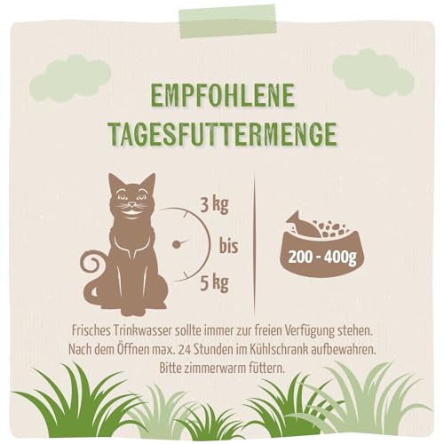 MjAMjAM - Premium Nassfutter für Katzen - Probierpaket Purer Fleischgenuss 1 125g, 12er Pack (12 x 125g), naturbelassen mit extra viel Fleisch