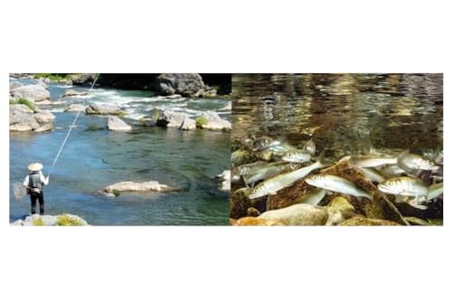 [長良川中央漁業協同組合] 鮎釣り 年間遊漁証 鮎 アユ あゆ 魚 釣り 遊漁証 川 解禁 初夏 秋 年間 友釣り 川魚 香魚 竿 さお 自然 豊か 塩焼き 家族 仲間 岐阜県 美濃市