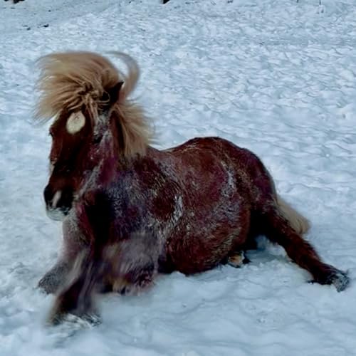 276 - Bare dr&oslash;mmer og tidsfordriv?