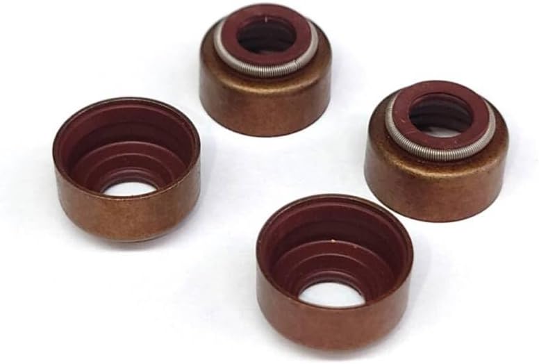 ブセファランドラクダガン 溶岩石巻付 ブセファランドラ『9種9株