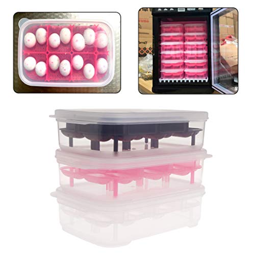 Reptile Egg Incubator 14 Slots Professional Transparent Cover for Lizard Snake Gecko Eggs