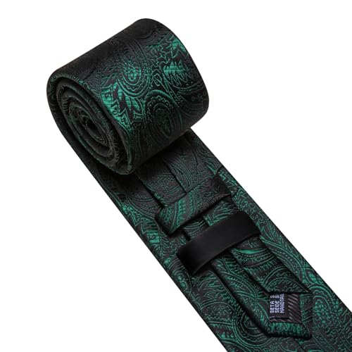 Image of Barry.Wang Paisley Tie for Men Silk Woven Necktie and Tie Clip Set Wedding Party Business Formal
