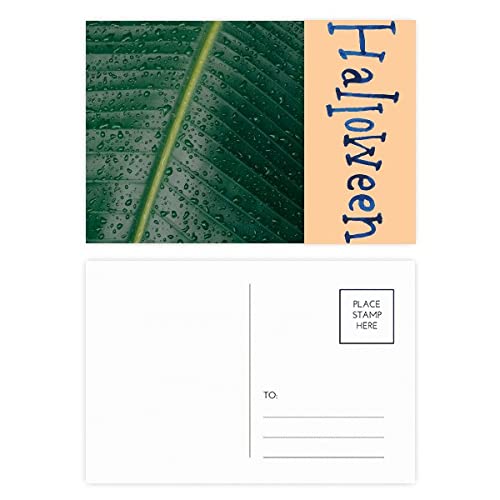 Cartes postales d'Halloween lot de 20 à offrir pour partager des moments mystérieux