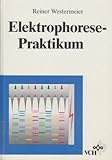 elektrophorese laboruntersuchung  Elektrophorese-Praktikum