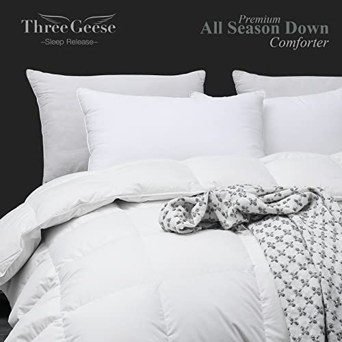 Three Geese All Season Down Comforter,Bedding Comforter Duvet Insert Medium Warmth With 48Oz Fill Weight,100% Skin-Friendly Cotton,King 106X90 Inches,750 Fill Power Fluffy With Corner Tabs. #TOP1