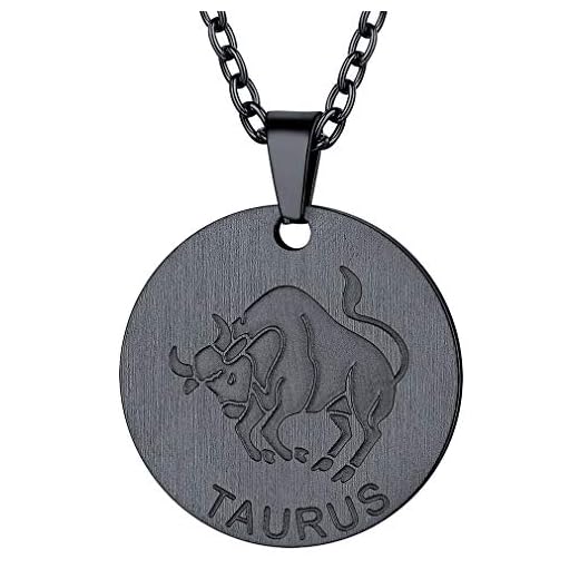 FaithHeart Leo 12 stjärnbilder halsband zodiak symbol hänge astrologiska tecken rund mynt hänge rostfritt stål hund taggar för pojkvän ficka tecken horoskop halsband augusti födelsedagspresent e Vattumannen (jan.22–feb.21), colore: Coin-black, cod. TP12196H-E