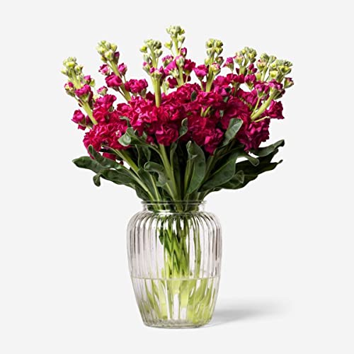 Image of Incrizma Vintage Style Ribbed Glass Bubble Flower Round Jar Vase ~ Perfect for Wedding & Home (20 cm)( Clear)