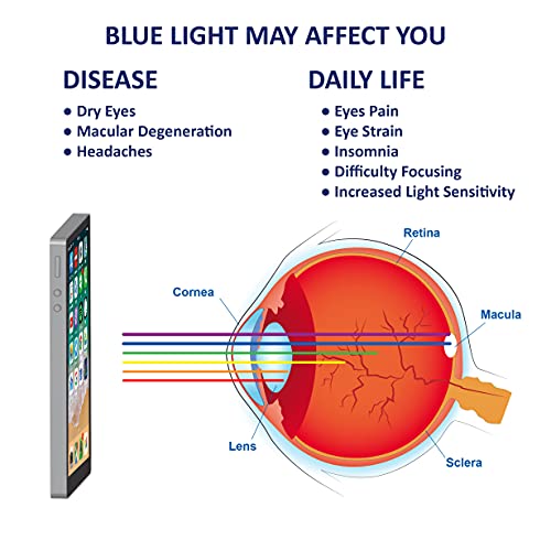 BLUEOWLSHIELD 6.1 inch Blue Light Blocking Tempered Glass Screen Protector Compatible for Apple iPhone 11 & iPhone XR, For Eye Care (Screen Coverage (except edges))