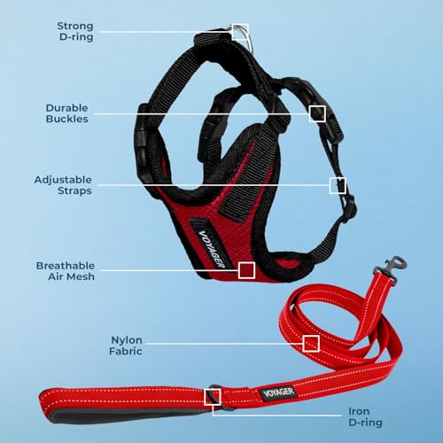 Image of Best Pet Supplies Voyager Step-in Lock Pet Harness w Reflective Pet Leash Combo Set with Neoprene Handle 5ft - Supports Small, Medium and Large Breed Puppies /Cats - Red /Black Trim, XL